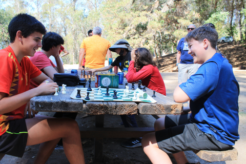 Community engagement