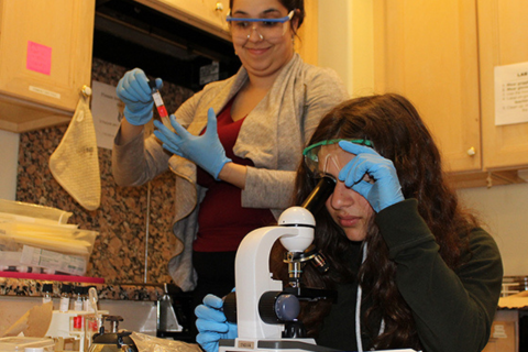 Student Athletes & Performers